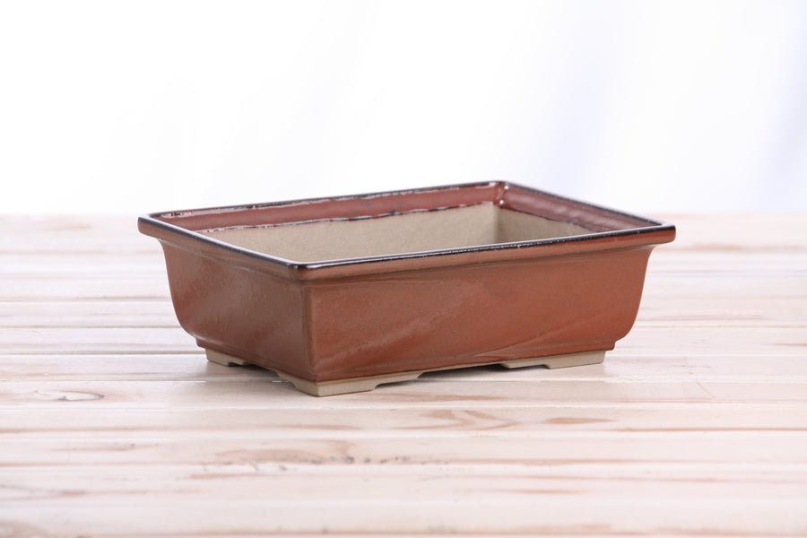 8-Inch Rectangle Bonsai Pot - Sunset