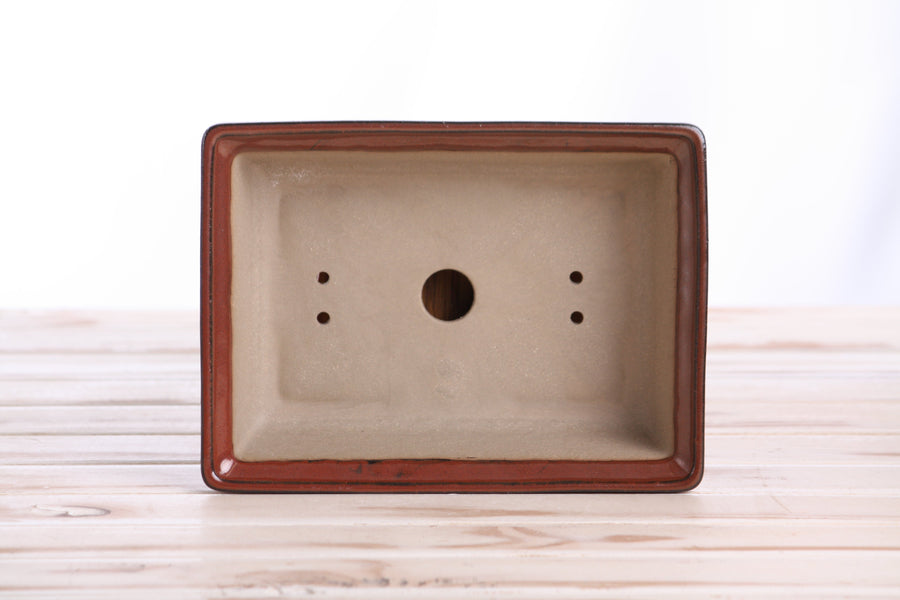 8-Inch Rectangle Bonsai Pot - Sunset