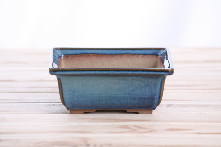 5.5-Inch Square Bonsai Pot - Peacock 2025