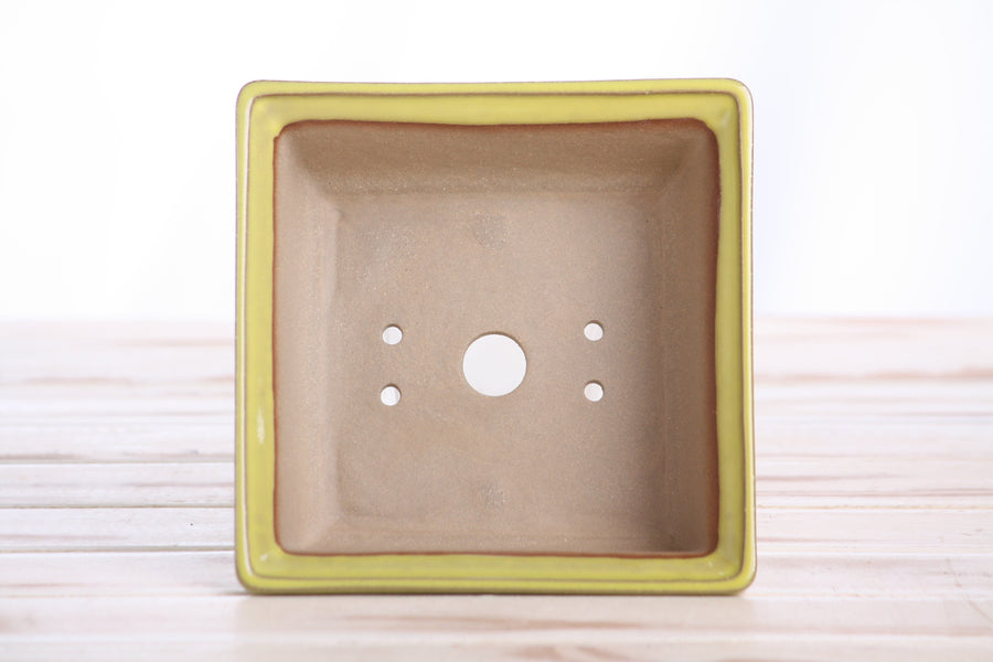 5.5-Inch Square Bonsai Pot - Yellow