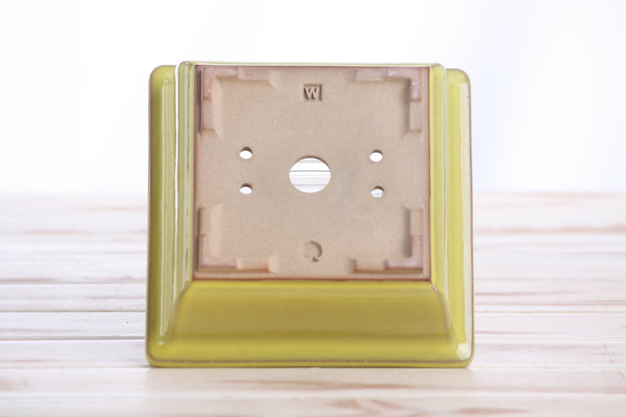 5.5-Inch Square Bonsai Pot - Yellow