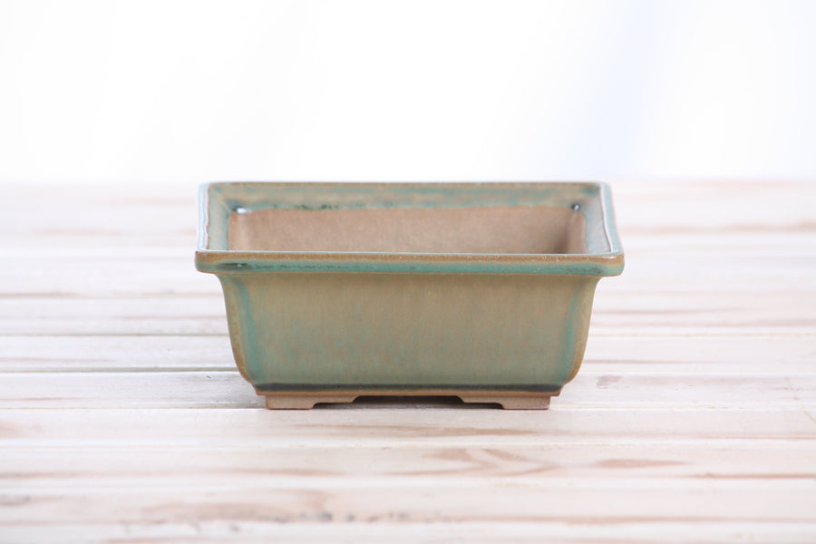 5.5-Inch Square Bonsai Pot - Speckled Moss