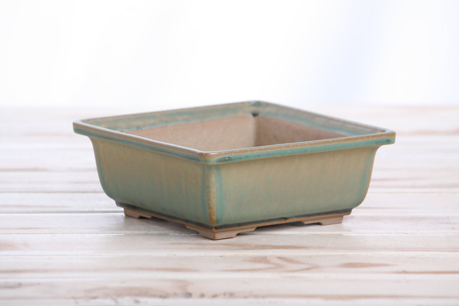 5.5-Inch Square Bonsai Pot - Speckled Moss
