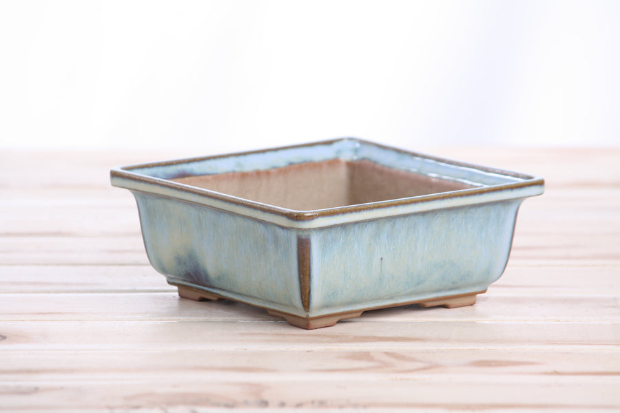 5.5-Inch Square Bonsai Pot - Glacier