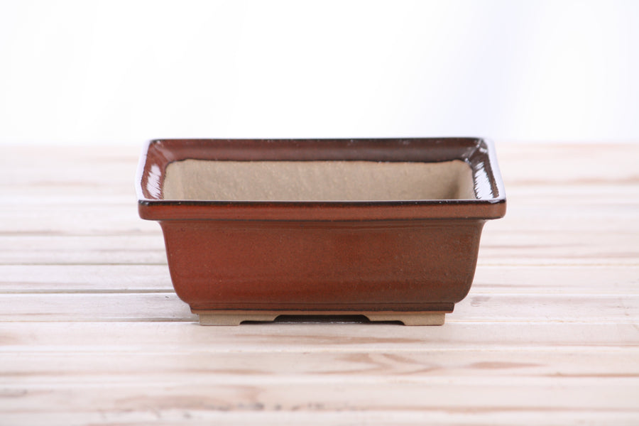 6-Inch Square Bonsai Pot - Sunset