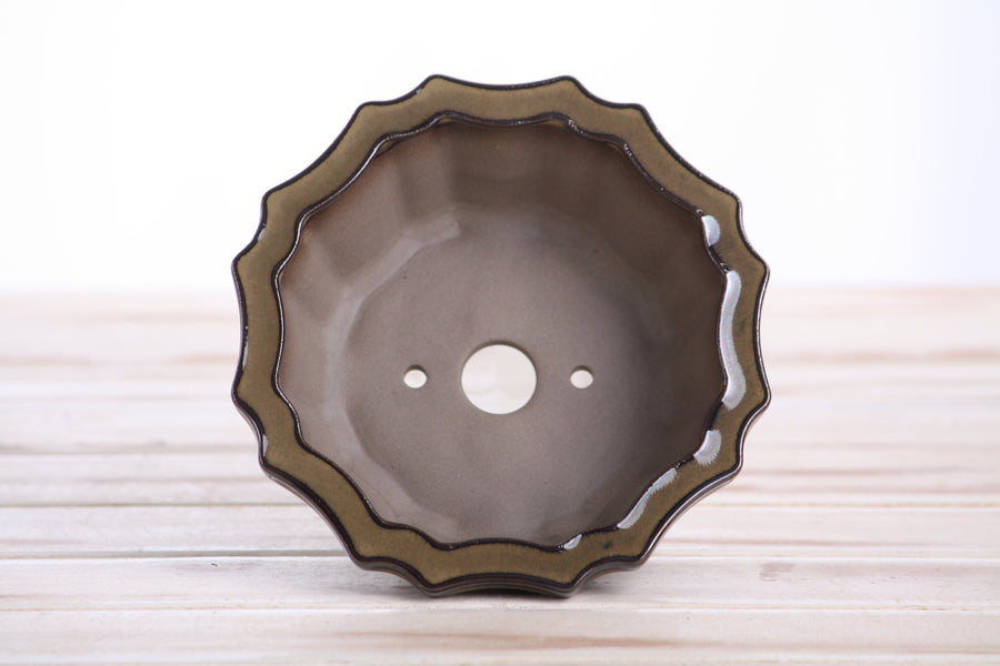 5-Inch Flower Bonsai Pot - Dark Honey