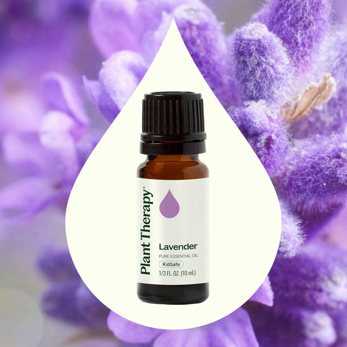 Lavender Essential Oil by Plant Therapy