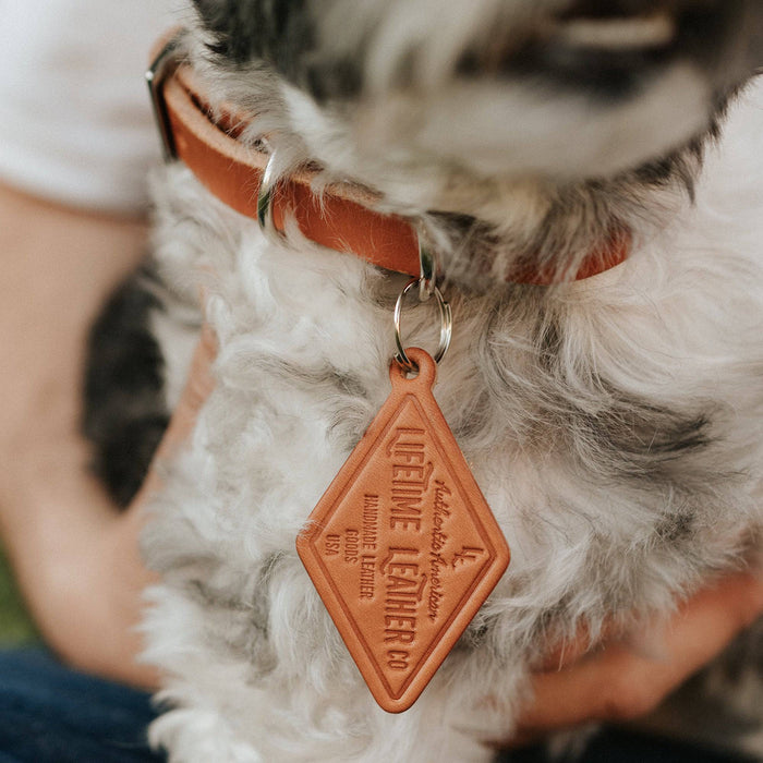 Leather Dog Collar - Classic - Lifetime Leather Co