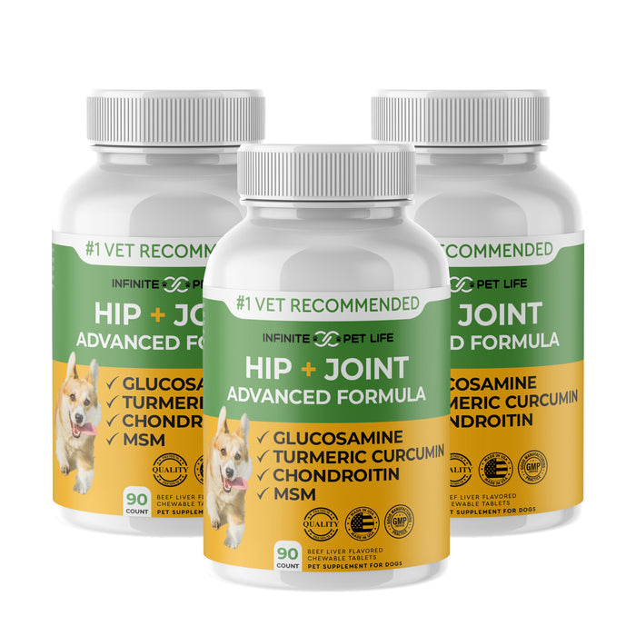 Chewable 3 Pack Bundle BONUS by Infinite Pet
