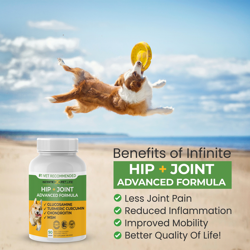 Hip & Joint Advanced Formula - 90 Mobility & Dog Joint Pain Relief Chews - Glucosamine, Chondroitin, MSM, & Turmeric for Superior Joint Health by Infinite Pet