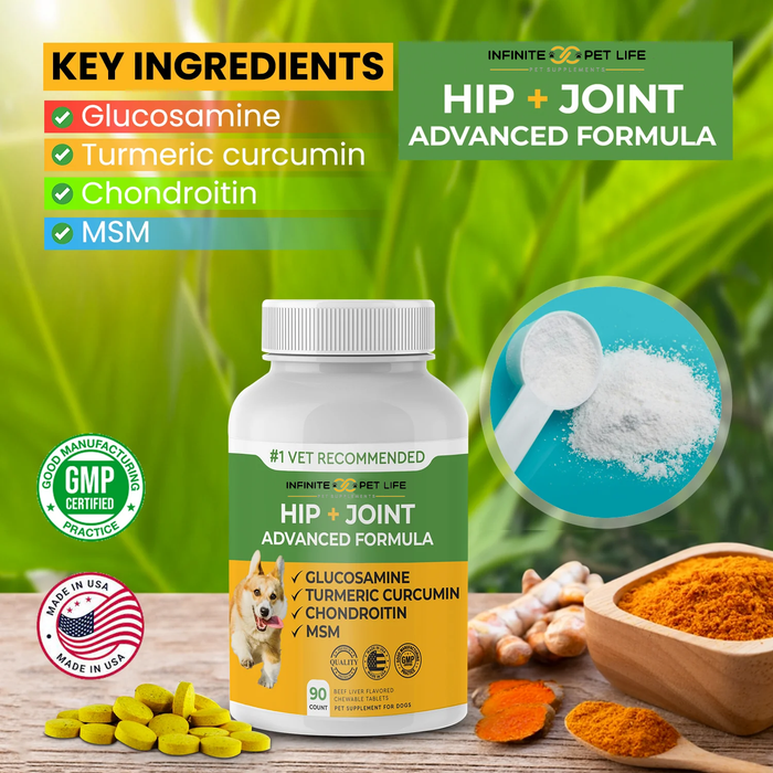 Hip & Joint Advanced Formula - 90 Mobility & Dog Joint Pain Relief Chews - Glucosamine, Chondroitin, MSM, & Turmeric for Superior Joint Health by Infinite Pet