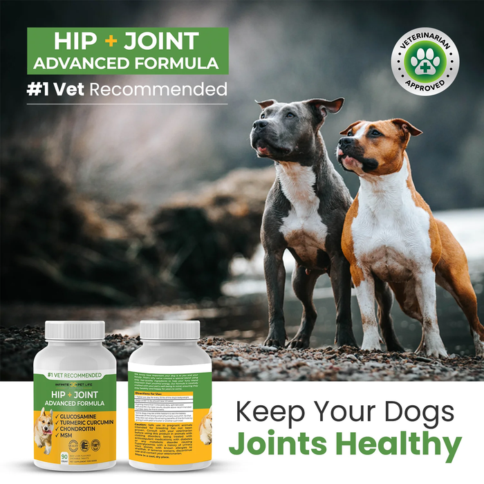 Hip & Joint Advanced Formula - 90 Mobility & Dog Joint Pain Relief Chews - Glucosamine, Chondroitin, MSM, & Turmeric for Superior Joint Health by Infinite Pet