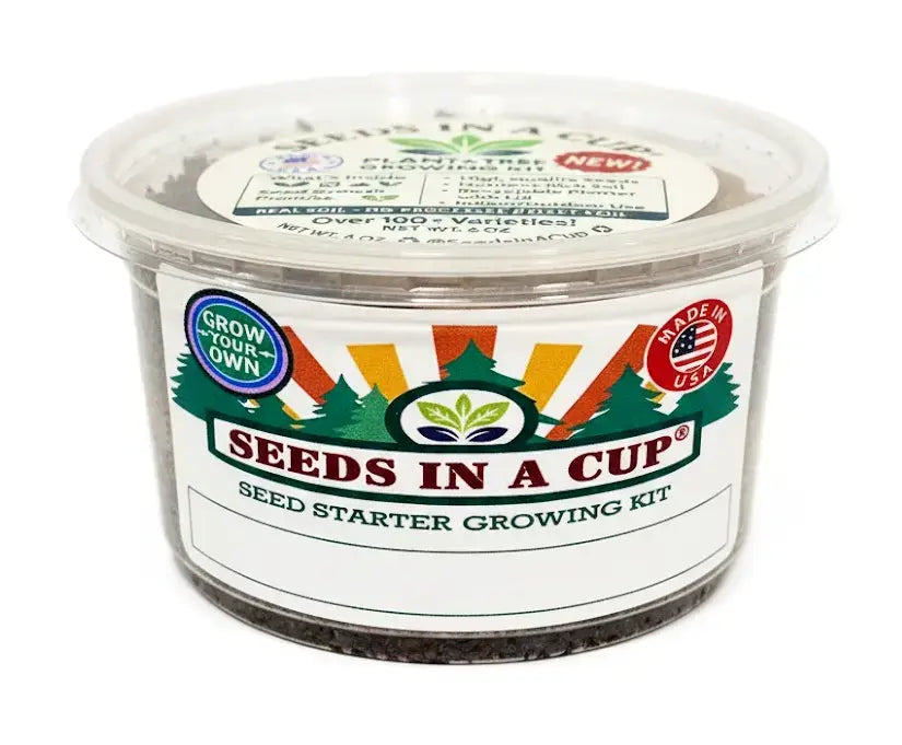 Caraway Grow Kit | Seeds In A Cup®