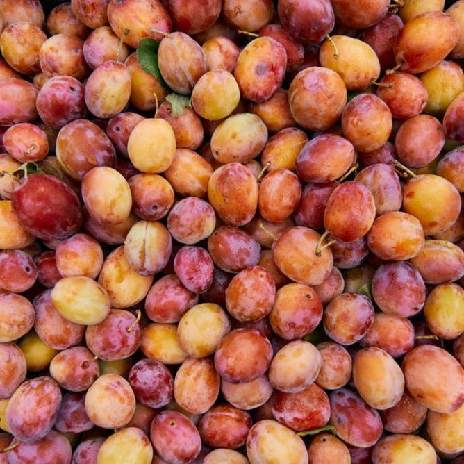 Vanilla Plum Medley Spoon Preserves by Farm2Me