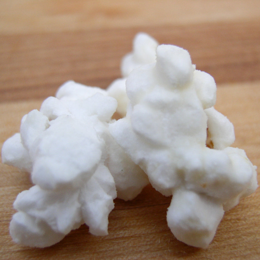Close-up of white cheddar popcorn kernels