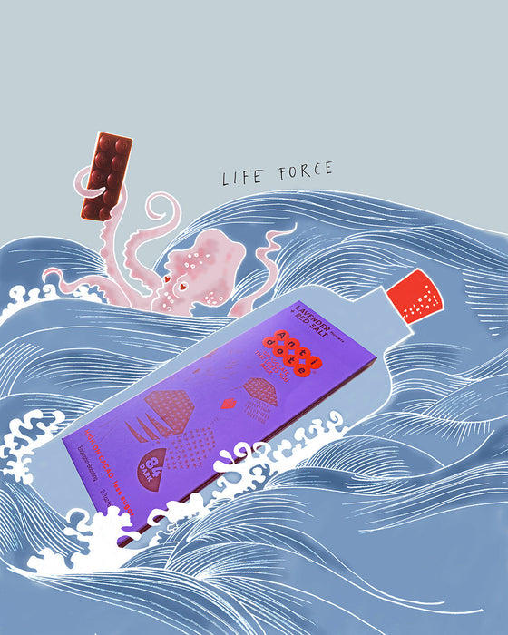 Antidote Chocolate PANAKEIA: LAVENDER + RED SALT - 12 Bars by Farm2Me
