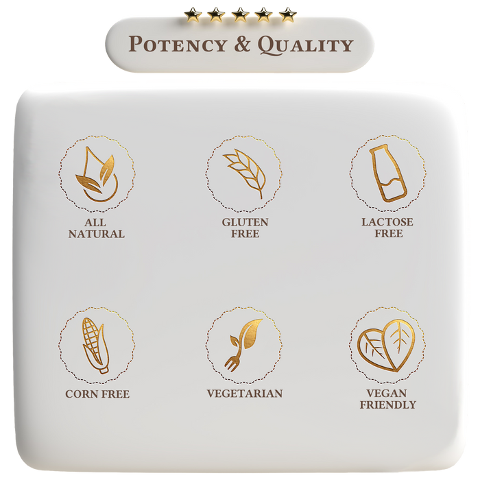 Vegan Protein Vanilla Milkshake by A Quality Life Nutrition