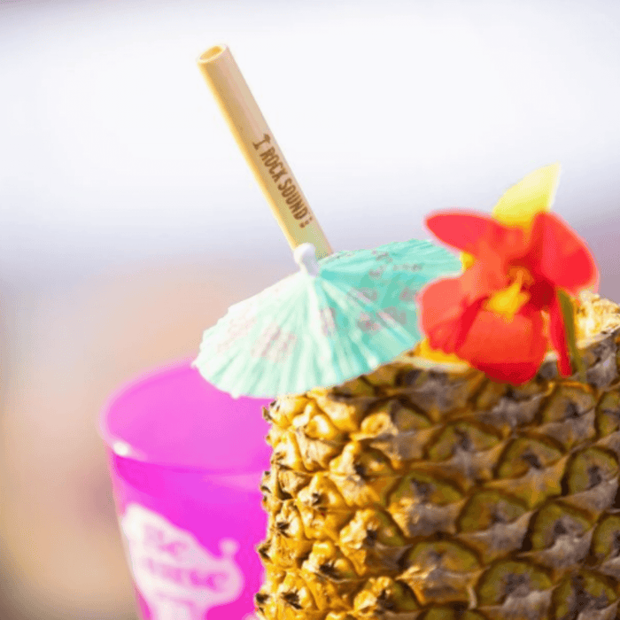 Holy City Straw Laser Engraved Reusable Reed Straw by Farm2Me