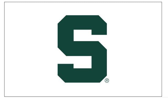 Michigan State University (MSU) White w/ Green Block S