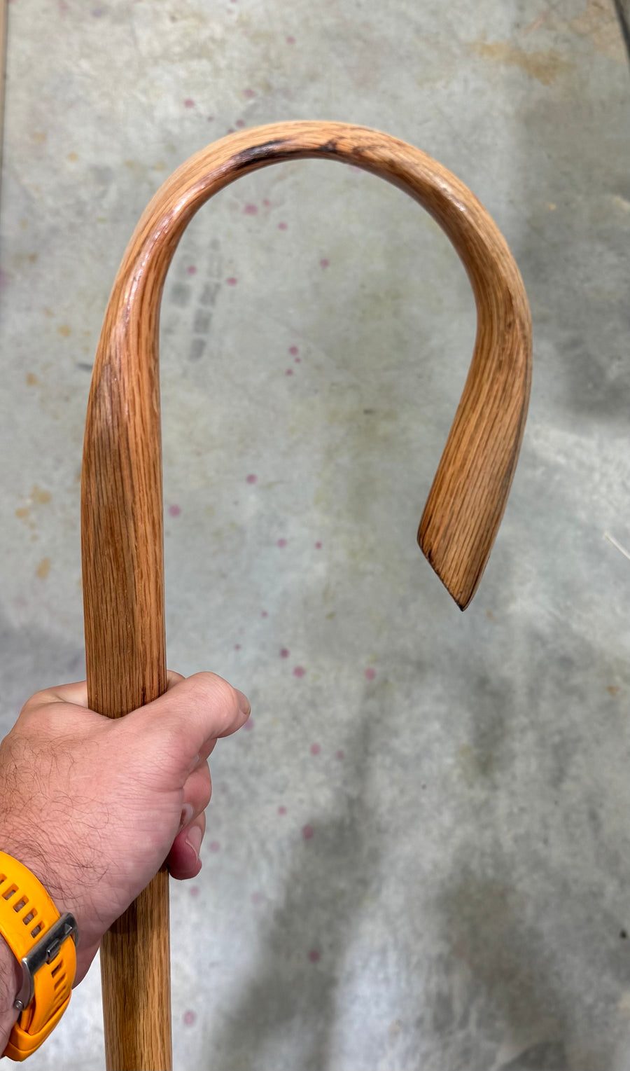 Hand holding the steam-bent curved top of an oak shepherd’s staff