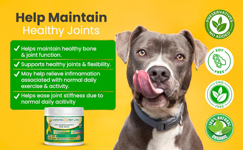 Advanced Hip & Joint Supplement Powder/Meal Topper by Infinite Pet