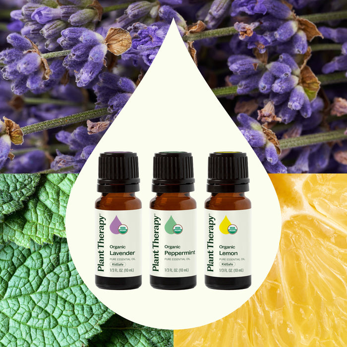 Top 3 Organic Singles Set by Plant Therapy