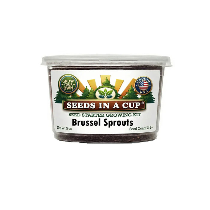 Brussels Sprouts Grow Kit | Seeds In A Cup®