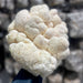 Ahara Mushrooms - Ahara Mushrooms Golden Mane Mushroom Chai - Tea & Infusions | Delivery near me in ... Farm2Me #url#