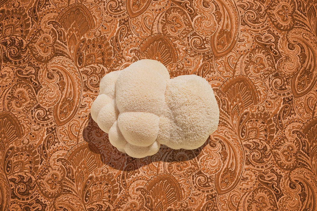 Ahara Mushrooms - Ahara Mushrooms Golden Mane Mushroom Chai - Tea & Infusions | Delivery near me in ... Farm2Me #url#