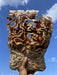 Ahara Mushrooms - Ahara Mushrooms Reishi Capsules - 10 bottles - Tea & Infusions | Delivery near me in ... Farm2Me #url#
