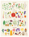ALY MILLER DESIGNS - Aly Miller Seasonal Guide to Local Produce 11x 14" Print - 1 x 50 pieces - Retailer Supplies | Delivery near me in ... Farm2Me #url#