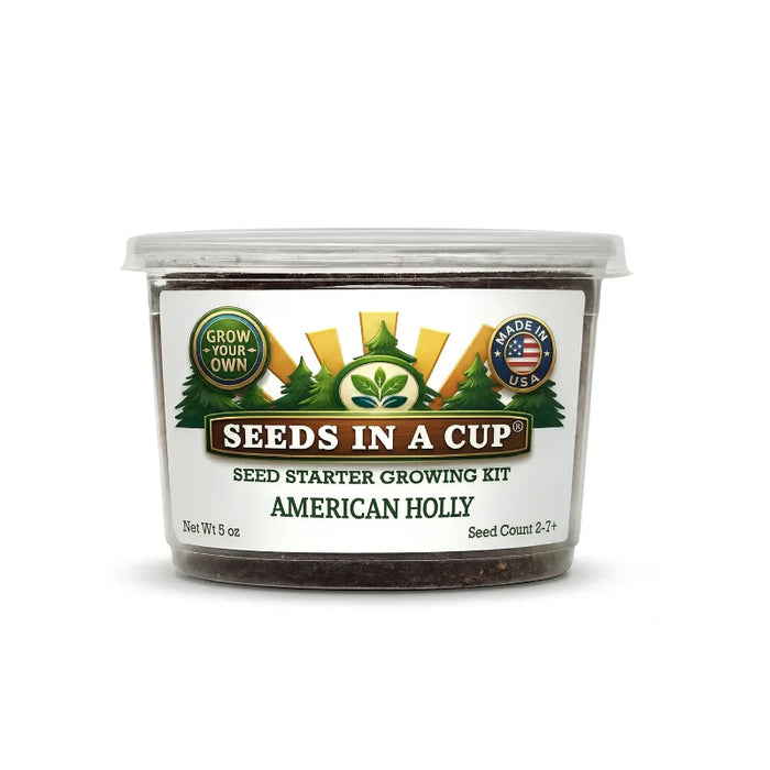 American Holly Grow Kit | Seeds In A Cup®