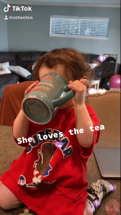 Us Two Tea Homesick: Oolong Tea - 50 Pouches by Farm2Me
