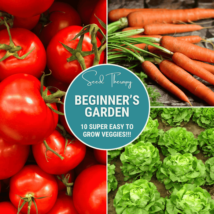 Beginner Vegetable Seed Collection – 10 Varieties