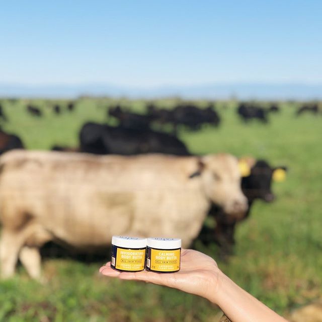 "Best of Both Worlds" Body Butta 2-Pack-FATCO1-FATCO Skincare Products tallow balm paleo skincare eczema psoriasis