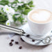 Blue Toad Botanicals® - GOLDEN 15 - Coffee Booster, Smoothie Booster, Powder Blend, Tea Blend | Delivery near me in ... Farm2Me #url#