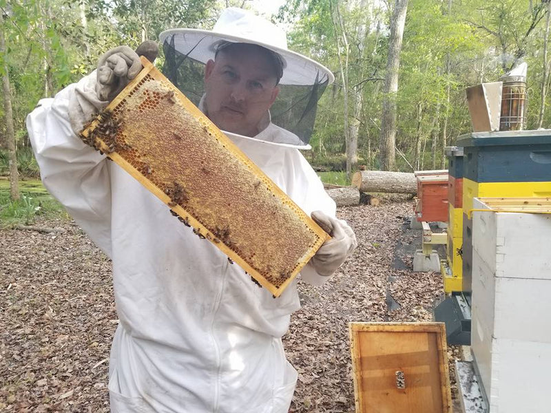 Mandarin Orange Honey image 6