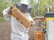 Mandarin Orange Honey image 6