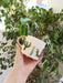 a hand holding a white ceramic mug adorned with three-dimensional cactus designs and a golden handle. It's set against a backdrop of leafy indoor plants, highlighting the mug's artistic nature-inspired embellishments.