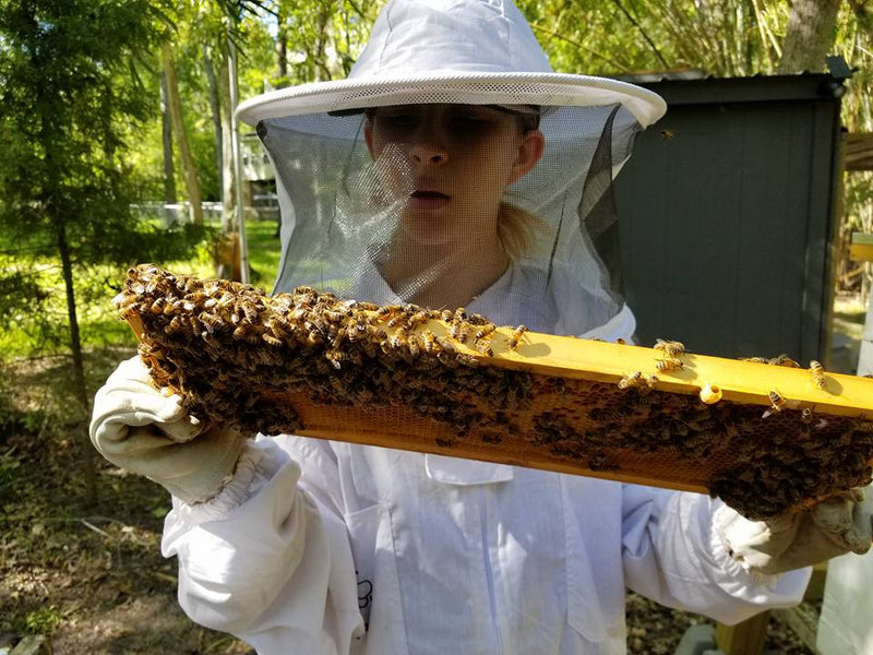 Cinnamon Honey image 7