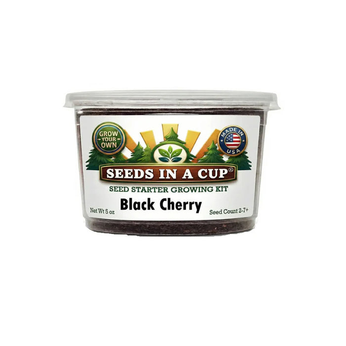 Black Cherry Tree Grow Kit