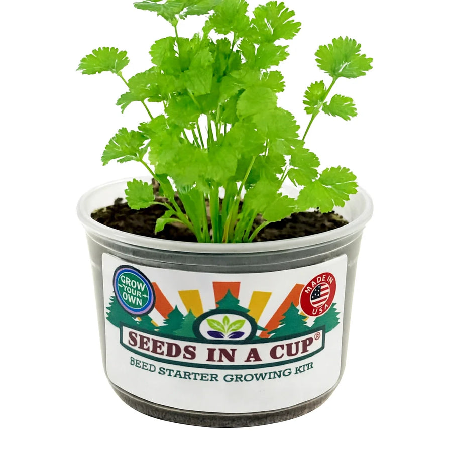 Cilantro Grow Kit | Seeds In A Cup®