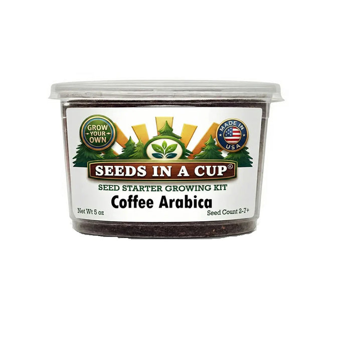 Arabica Coffee Plant Grow Kit