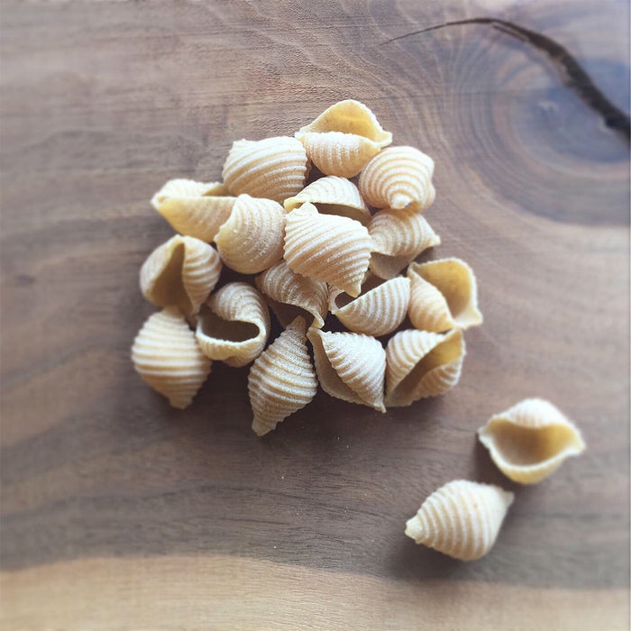 Pastificio Boulder Conchiglie Pasta Box - 6 boxes x 16oz case by Farm2Me