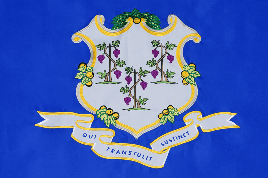 Connecticut State Flag design and stitching in close-up