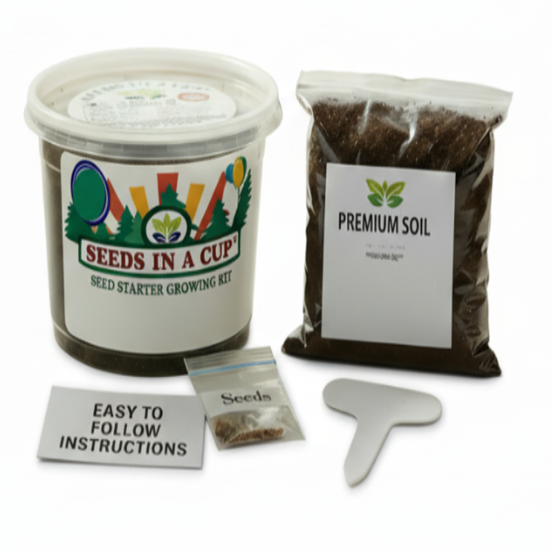 Pumpkin Grow Kit | Seeds In A Cup®