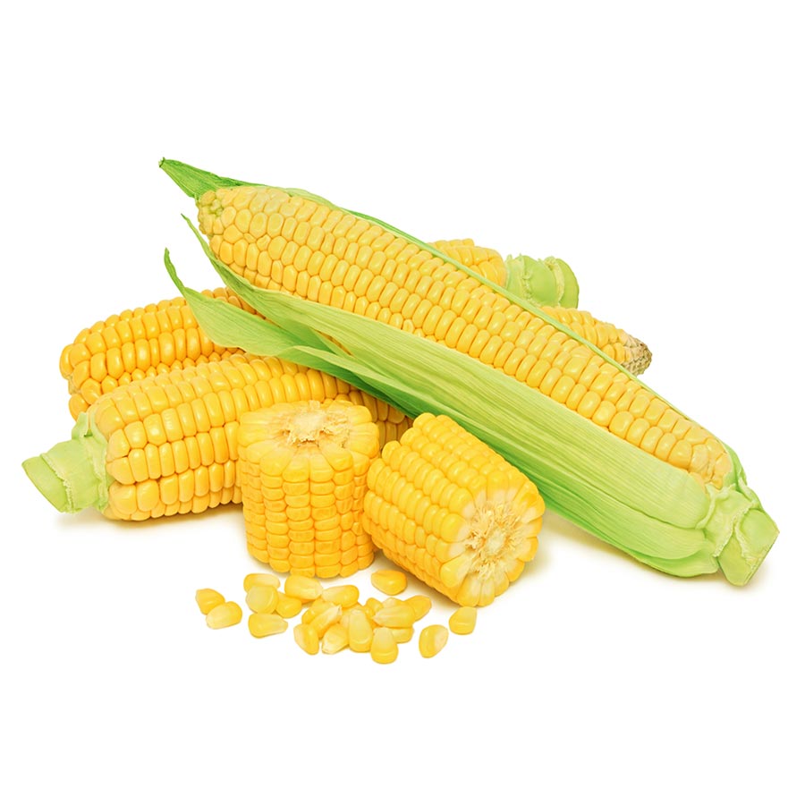 Fresh corn illustrating a vegetable variety in the kit