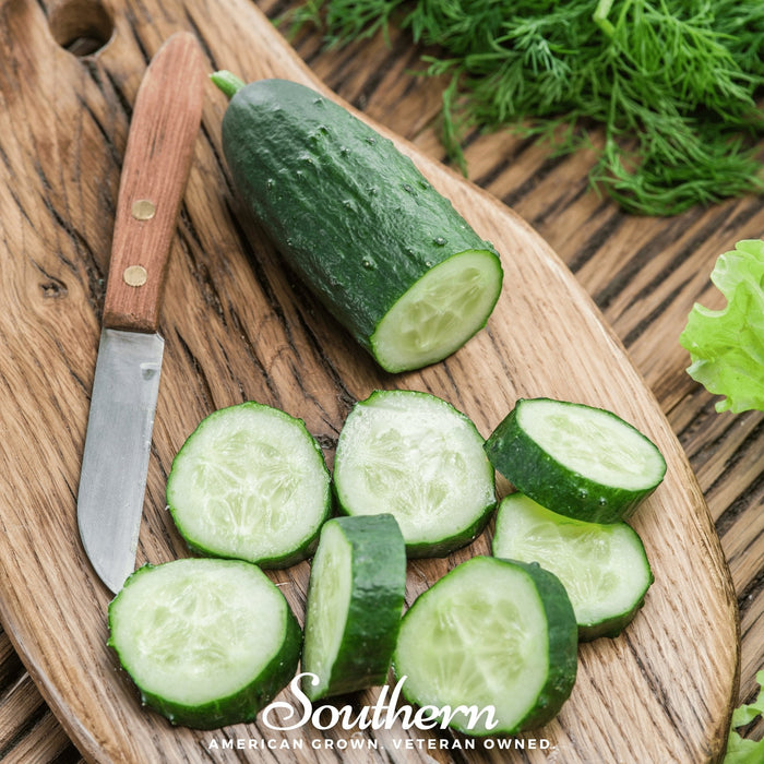 Spacemaster Cucumber – 30 Seeds