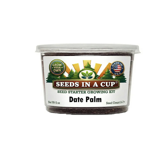 Date Palm Grow Kit | Seeds In A Cup®