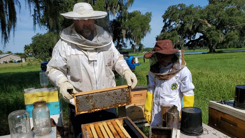 Lavender Honey image 4